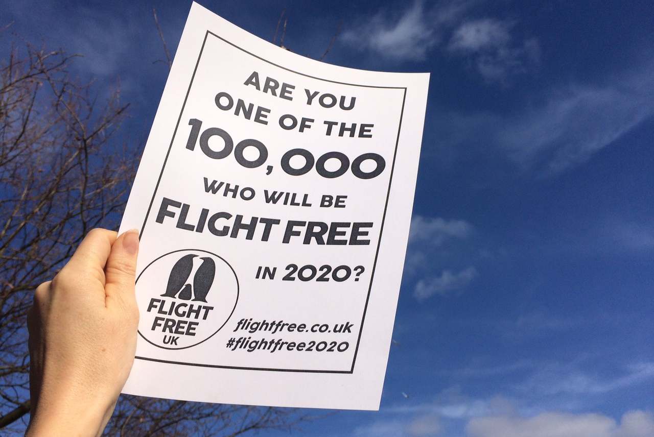 Image: flight free 2020 poster held up against blue sky