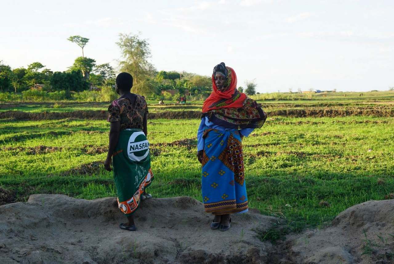 Image: kasfa female workers scheme women farmers