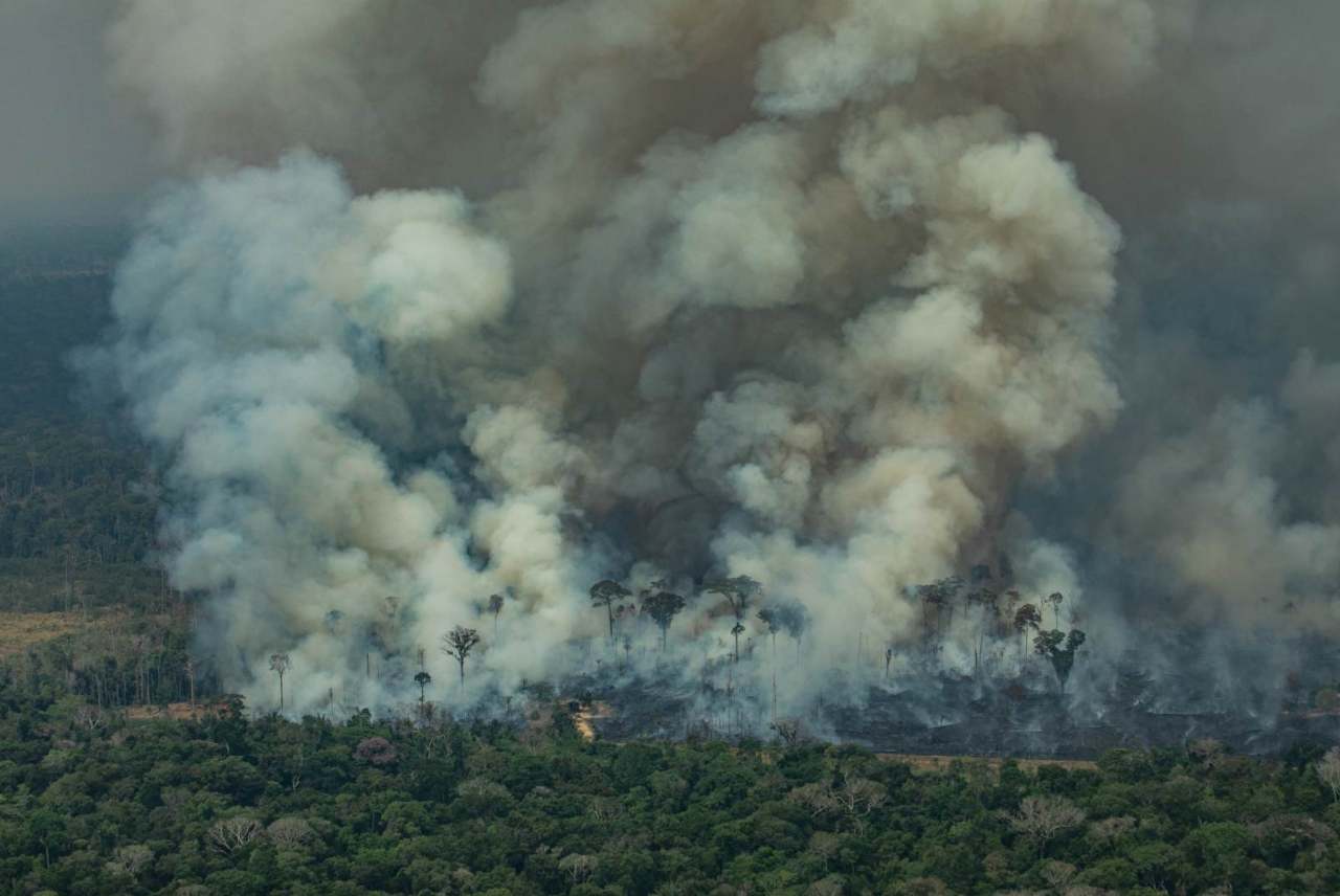 Companies complicit in Amazon Rainforest Fires Ethical Consumer