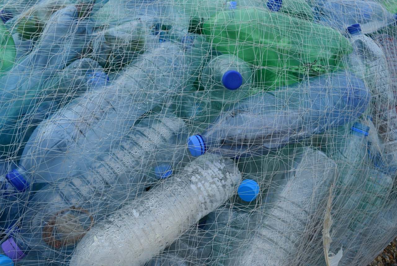 Plastic bottles in net