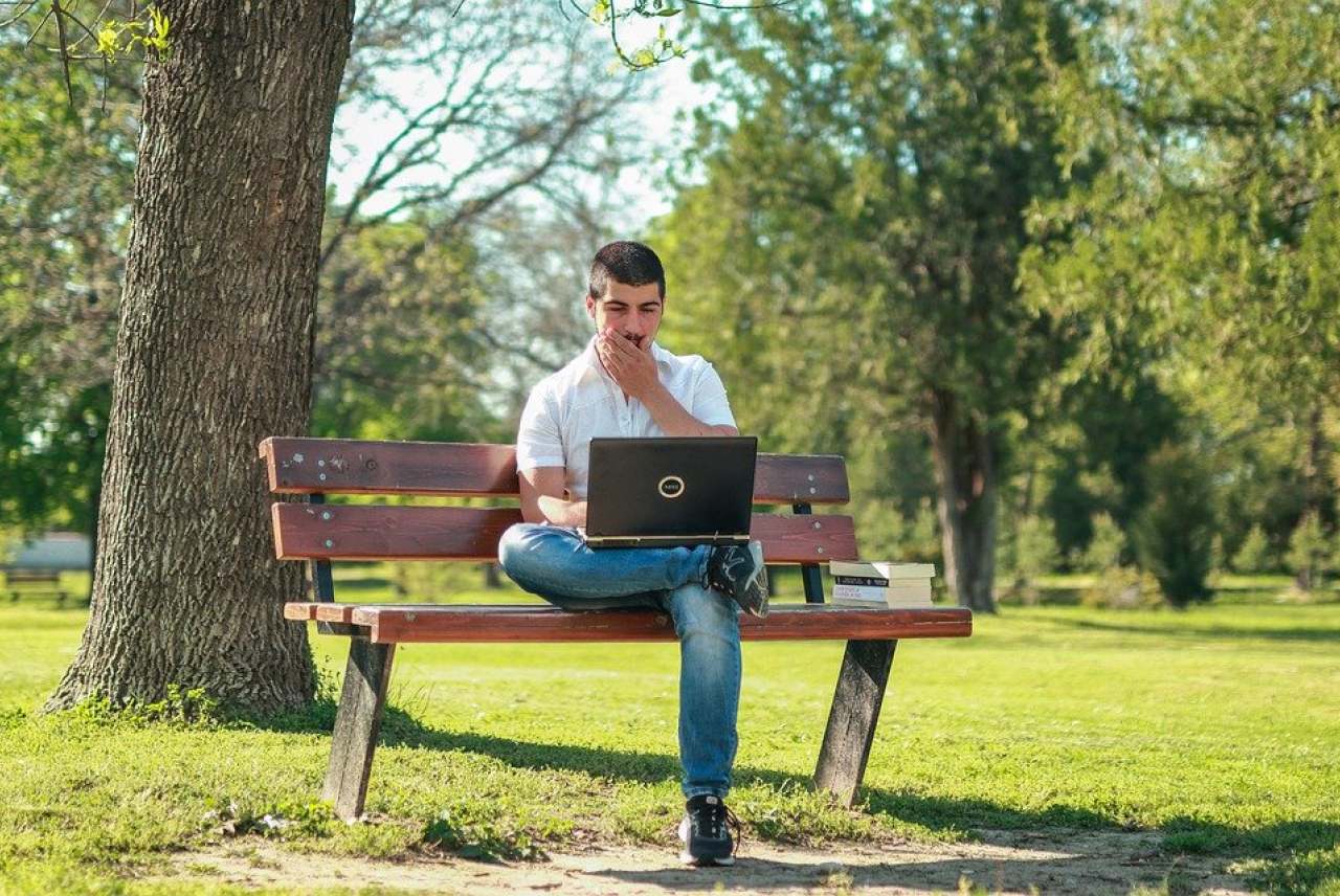 man looking at laptop by a tree