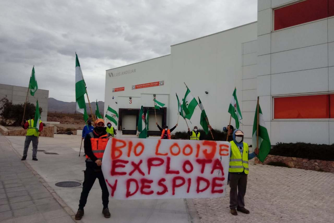 Workers protesting outside warehouse with banner
