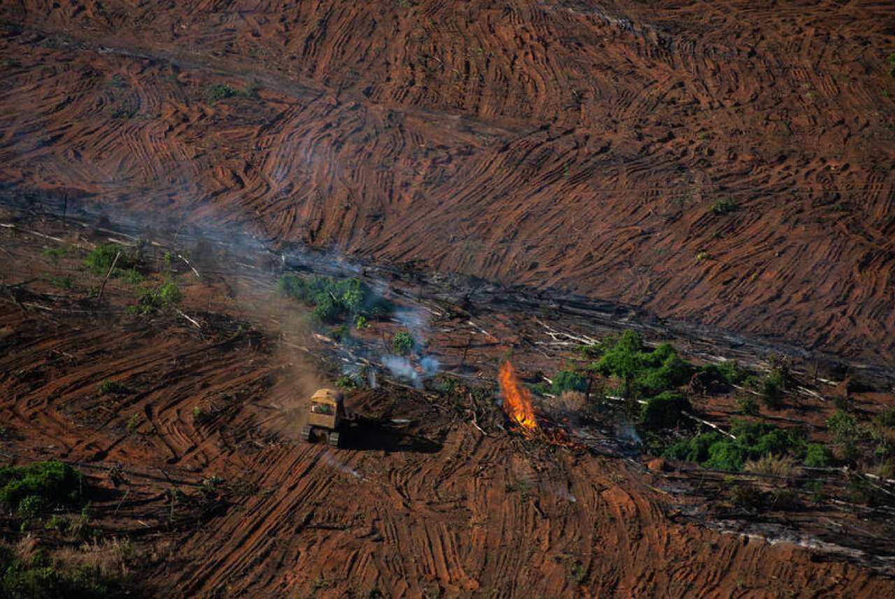 Forest fire and deforestation in the Amazon, Brazil