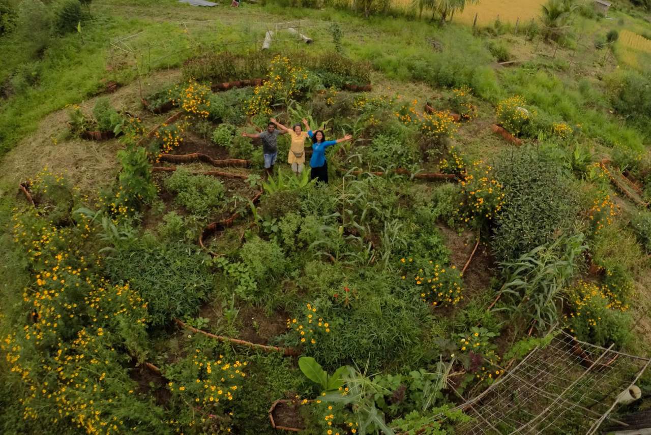 People standing in garden viewed from above