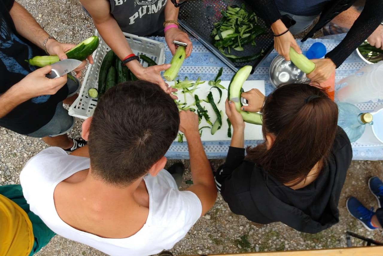 Top down view of people peeling cucumbers