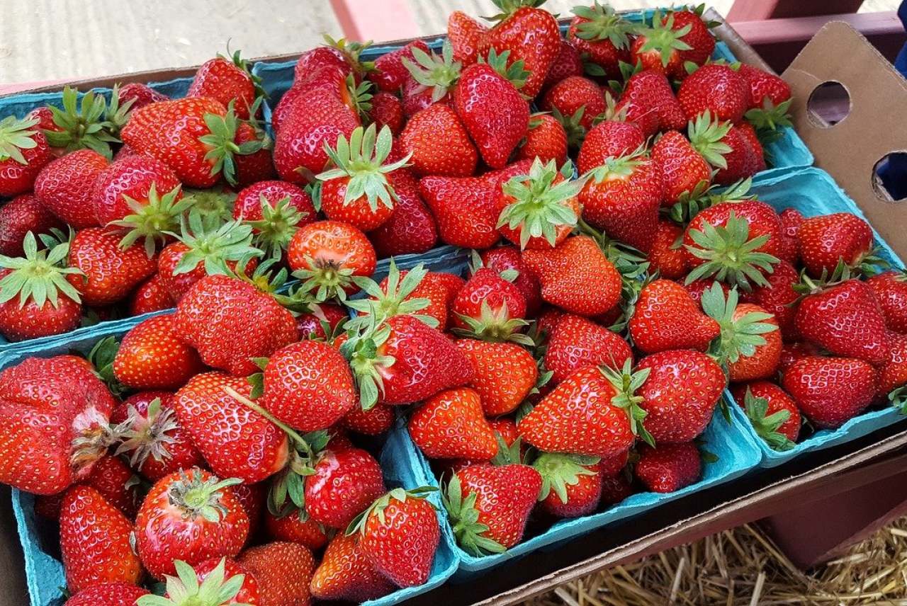 Punnets of strawberries