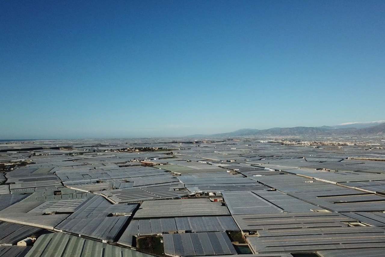 Landscape view of Almeria covered by greenhouses