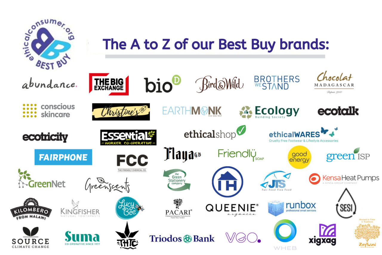Infographic with logos of best buy label companies