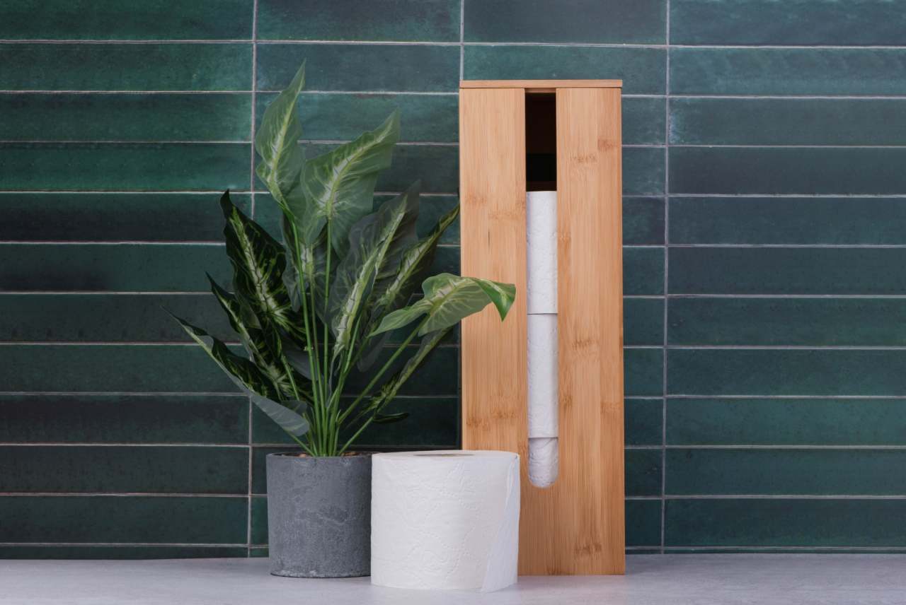 Plant and toilet paper in bathroom