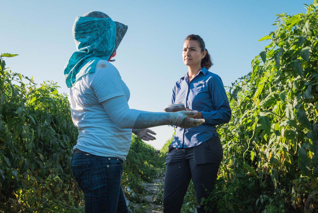 Worker converses with woman with a clipboard in a crop field