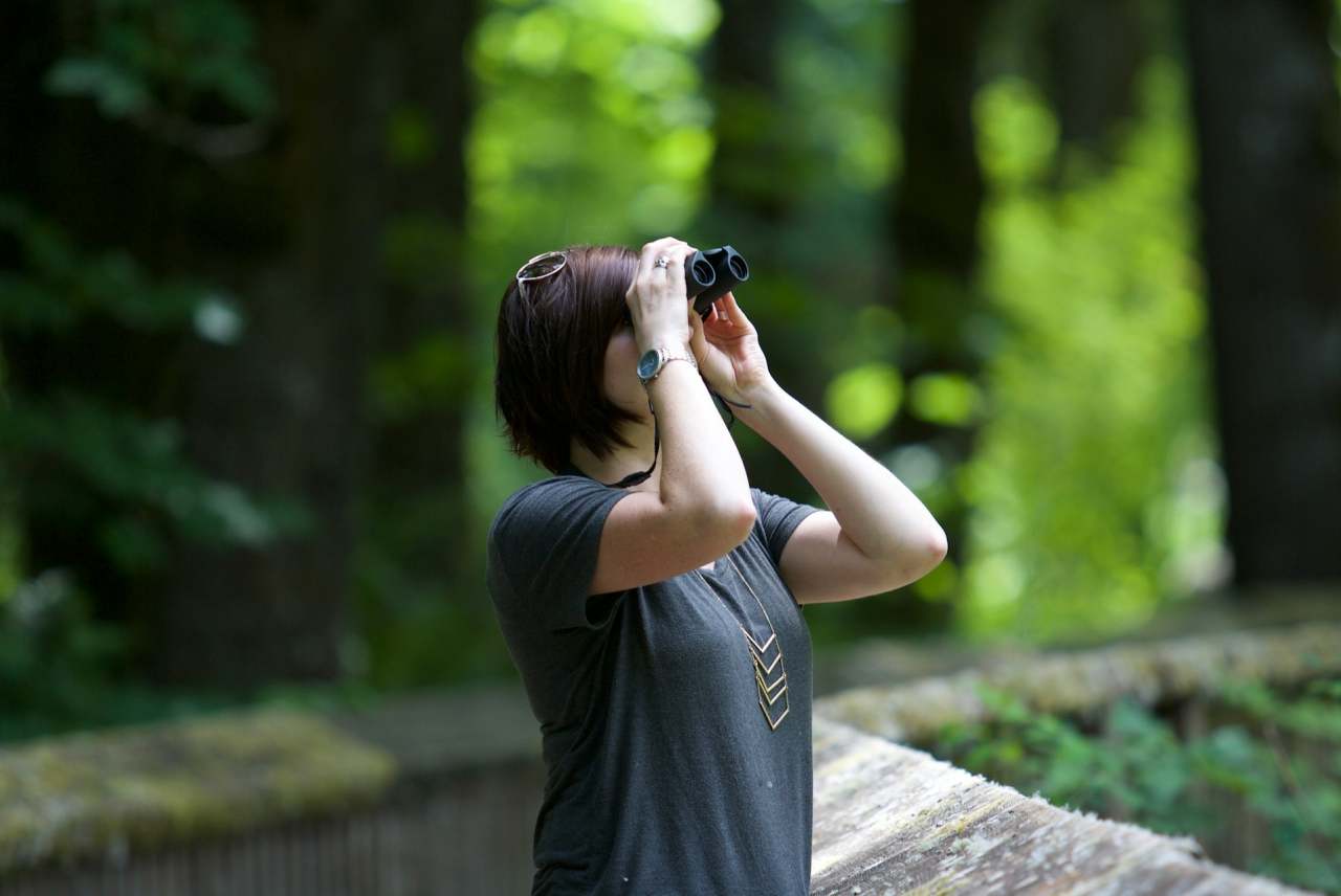 Woman using binoculars in forest