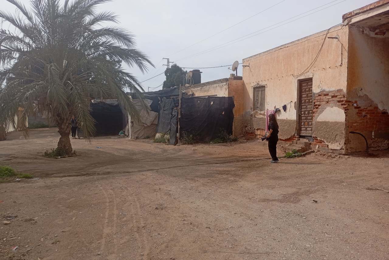Tree, tarpaulin tent housing and walls of building