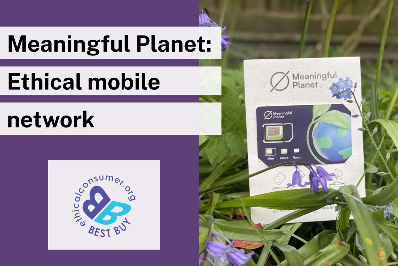 Meaningful Planet sim card in a patch of bluebells; Best Buy Label logo