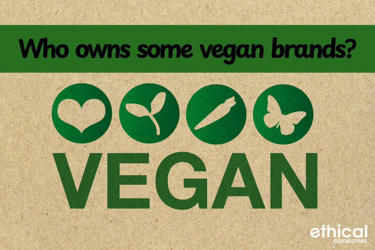 4 symbols of heart, plant, carrot and butterfly with the word 'vegan' in green