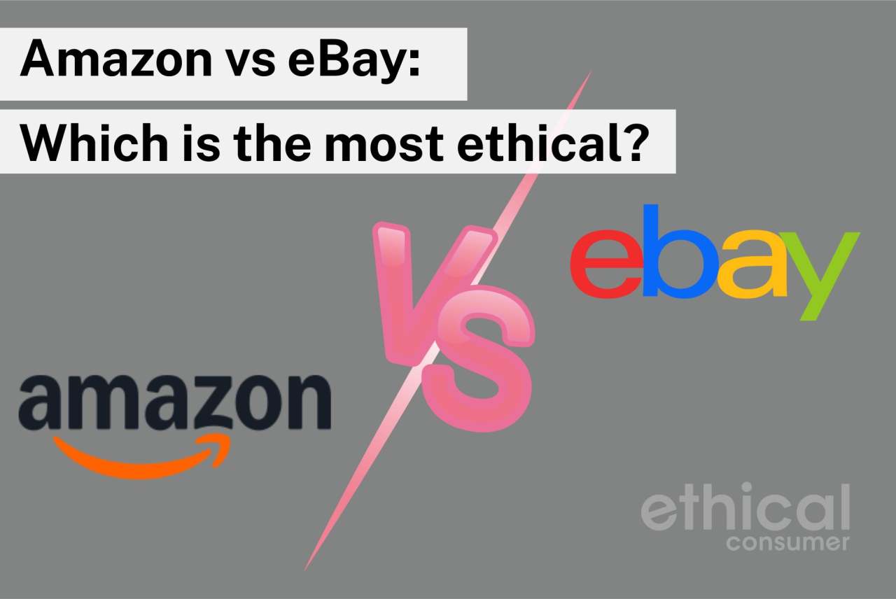 Logos of amazon and ebay. Text: which is most ethical?