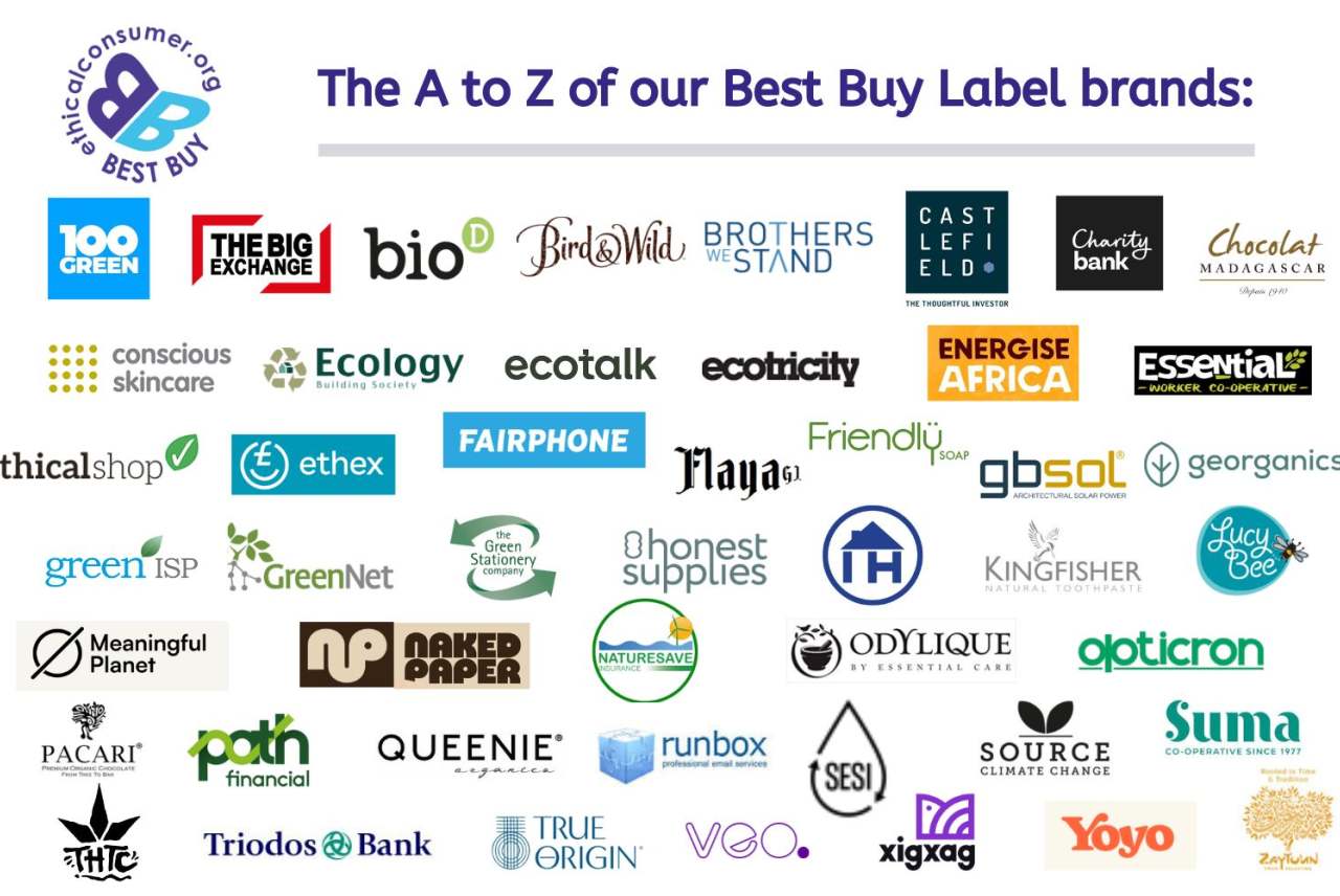 Logos of best buy brands. All are named in the text