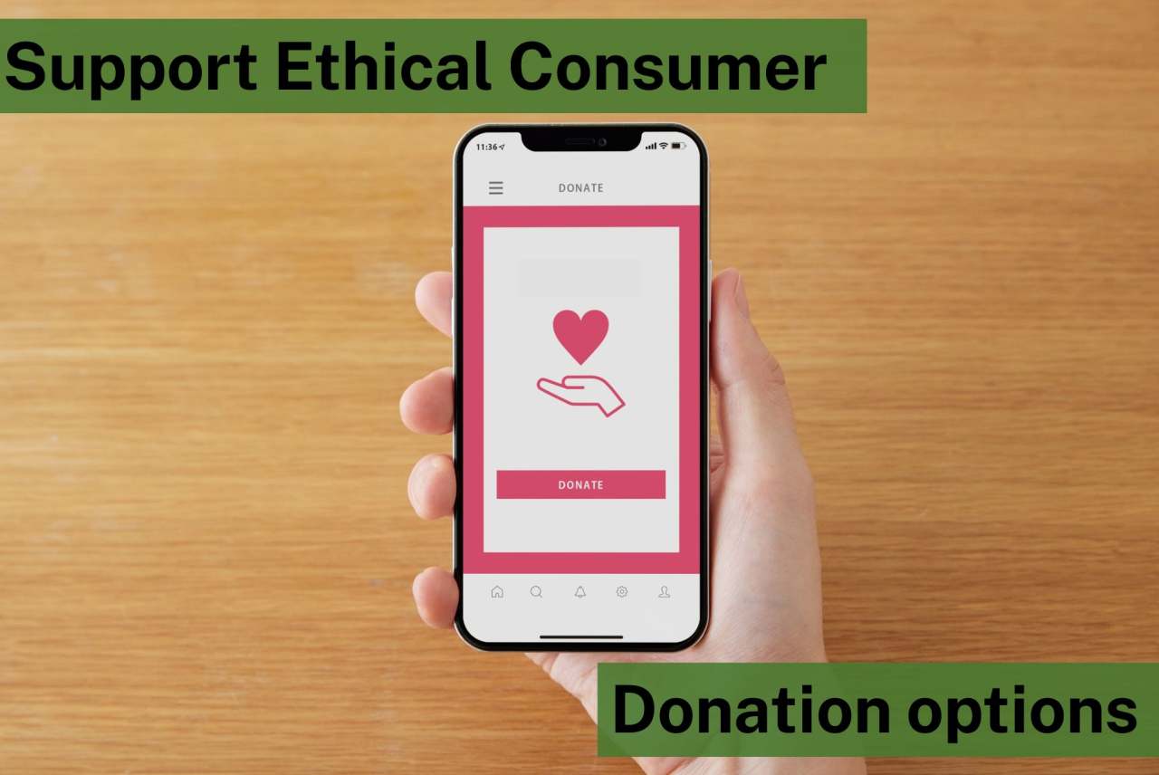 Person holding mobile phone which has icon of heart and the word 'donate'