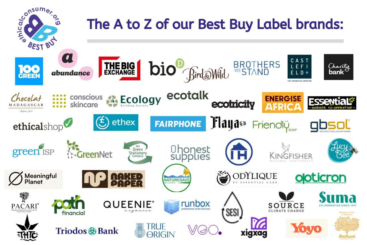 Logos of Best Buy brands. All listed on the page.
