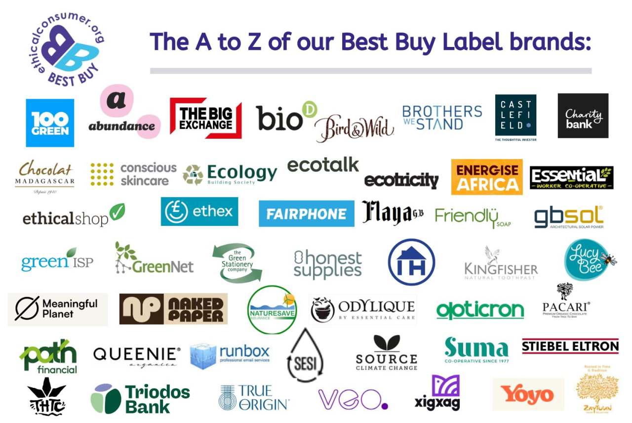 Logos of Best Buy brands. All listed on the page.