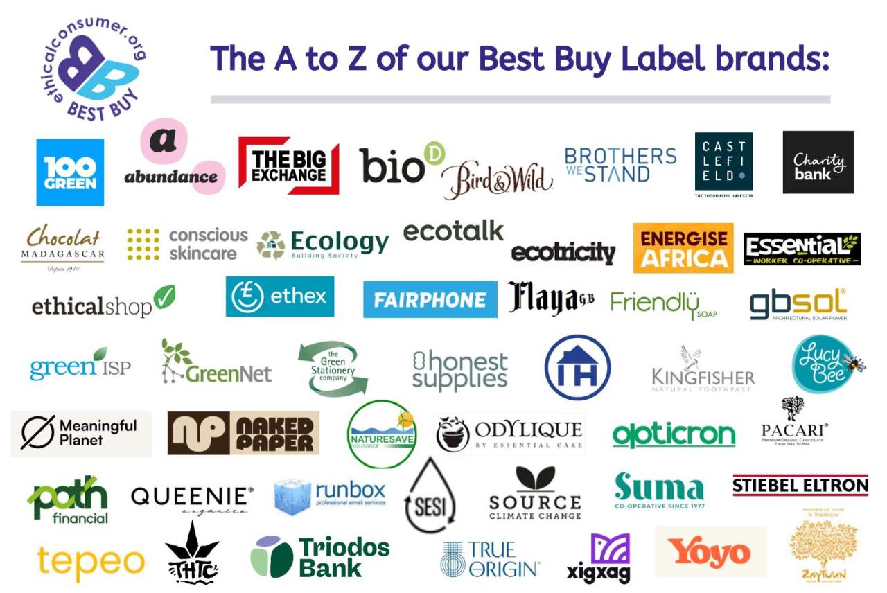 Logos of Best Buy brands. All listed on the page.