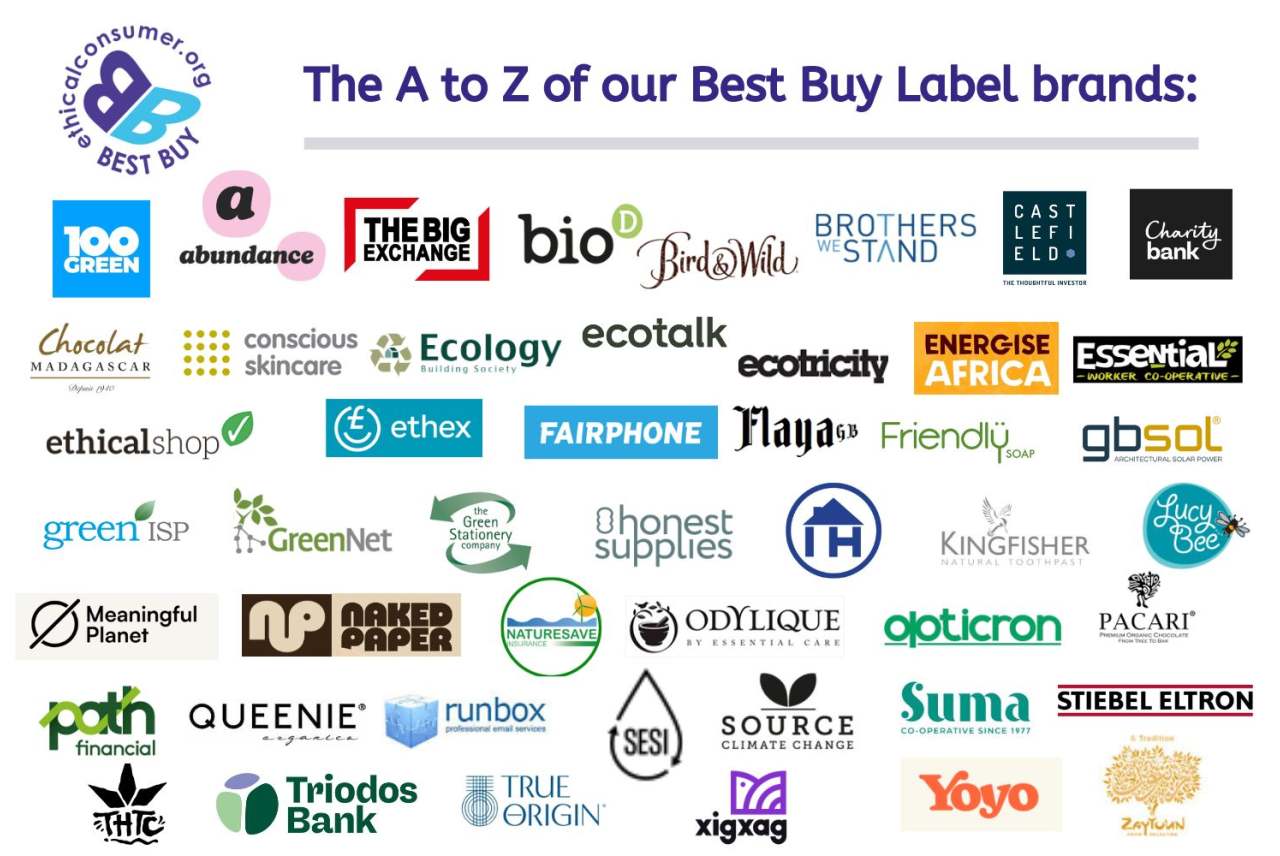 Logos of Best Buy brands. All listed on the page.