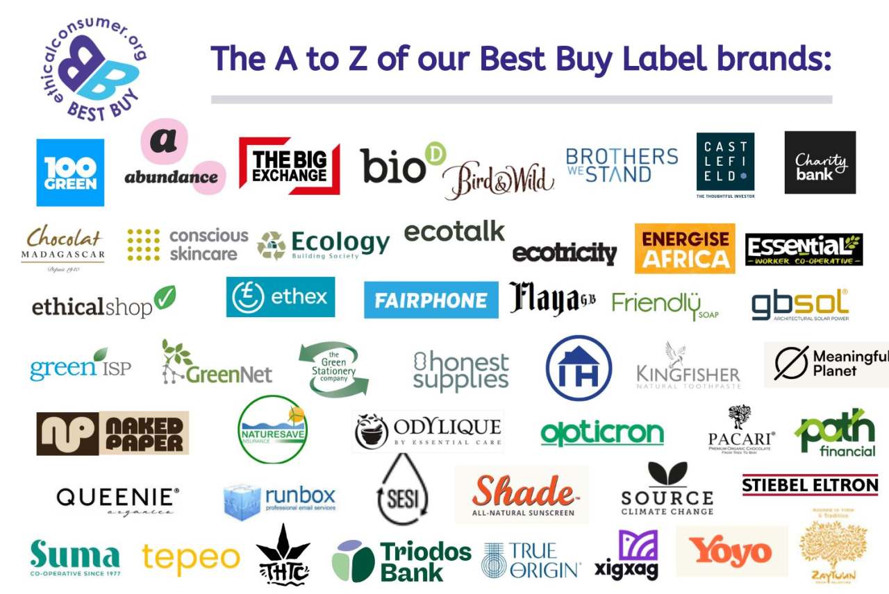 Logos of Best Buy brands. All listed on the page.