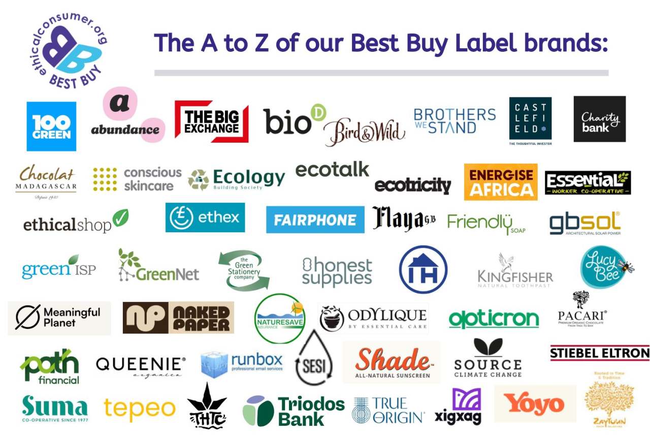 Logos of Best Buy brands. All listed on the page.