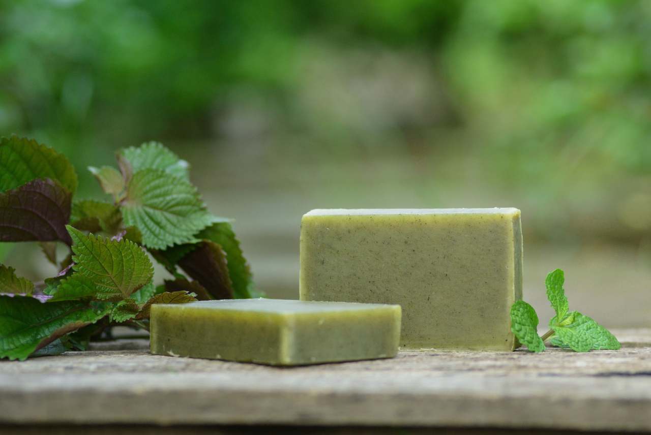 Two bars of green soap with nettle leaves and mint leaves around them