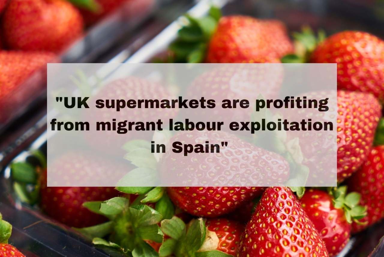 Strawberries in punnets for sale. Words: UK supermarkets are profiting from migrant labour exploitation in Spain