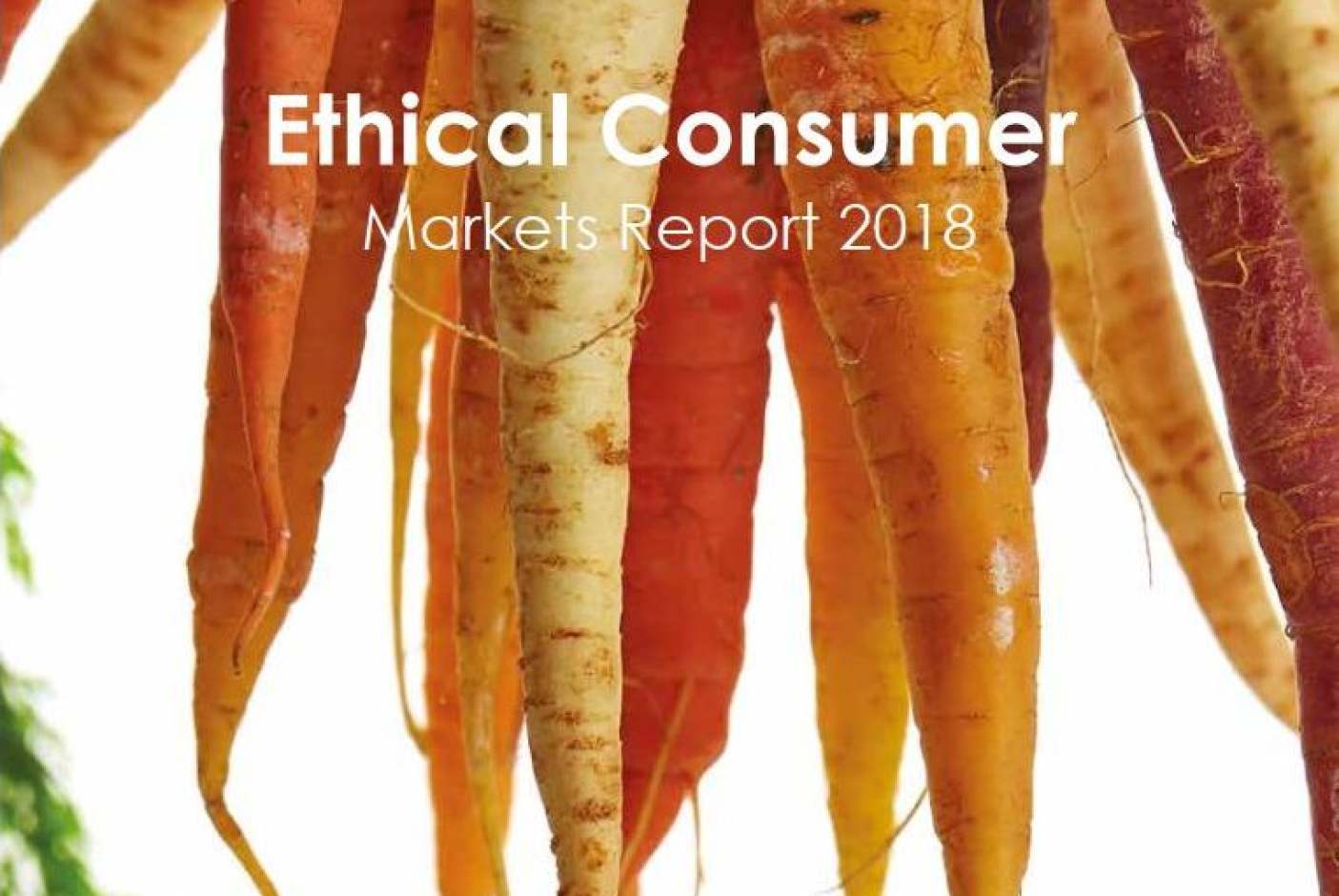 The UK Ethical Market Ethical Consumer