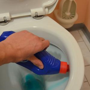 Image representing the Toilet Cleaners product guide