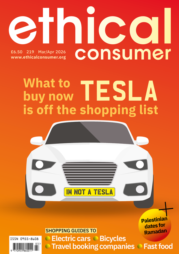 Cover of Ethical Consumer magazine 219 with picture of car