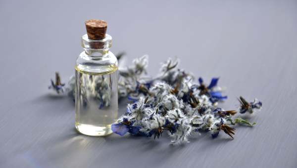 Image: Perfume Shops