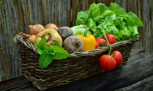 Image: organic veg box