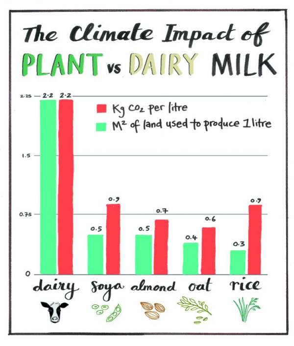 image: climate impact of plant vs dairy milk