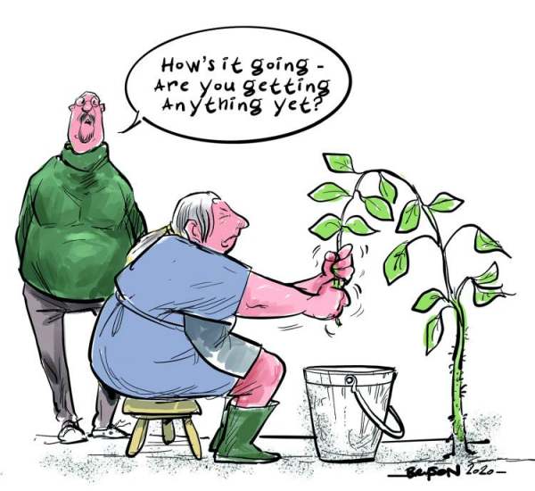cartoon: plant milk milking plants ethical consumer vegan hows it going are you getting anything yet?