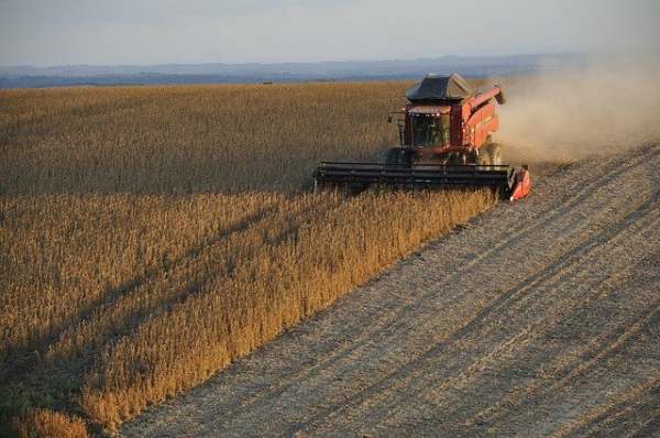 soy beans harvesting Brazil field