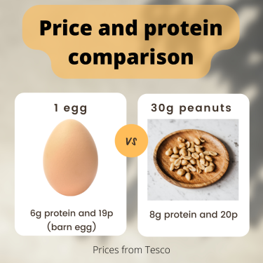 infographic showing price and protein difference between eggs and nuts