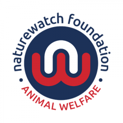 Logo of naturewatch foundation