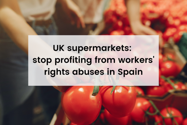 Image of tomatoes with text over top: uk supermarkets stop profiting from workers' rights abuses in Spain