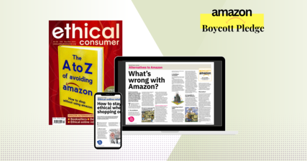 Mock ups of amazon free content in mag and online