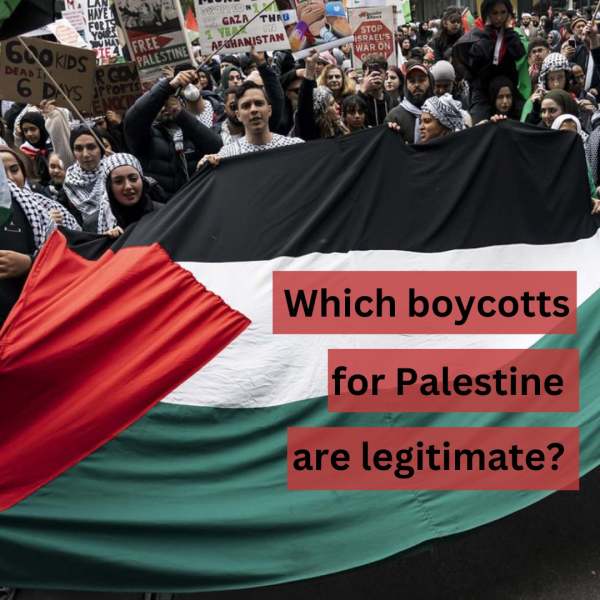 People holding Palestine flag at a demo