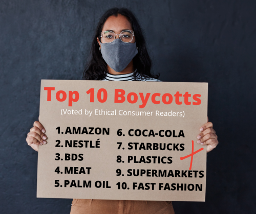 Person holding sign with top 10 boycotts on. All 10 are in the text of the article.