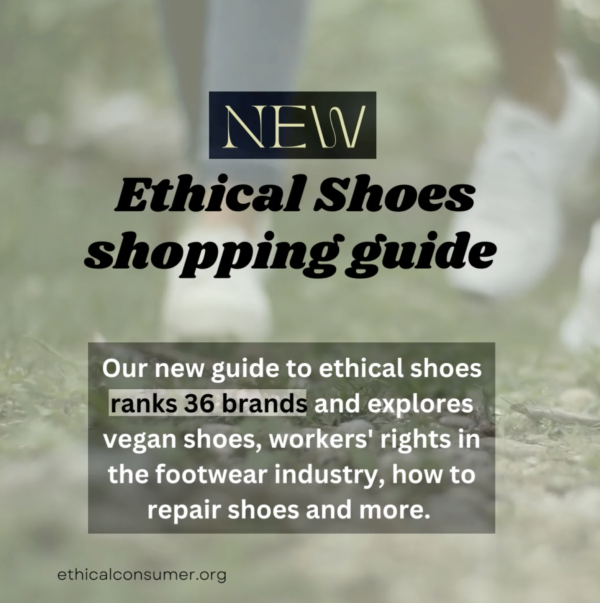 New ethical shoes shopping guide. Text in the article