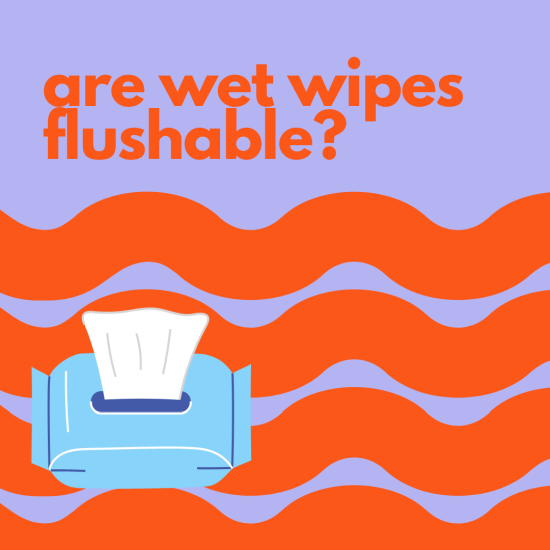 Image of box of wet wipes with text 'are wet wipes flushable?'