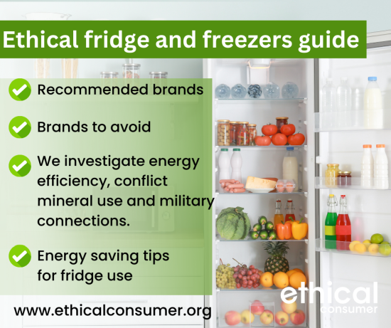 Infographic about fridge freezers shopping guide. Info is in web article.
