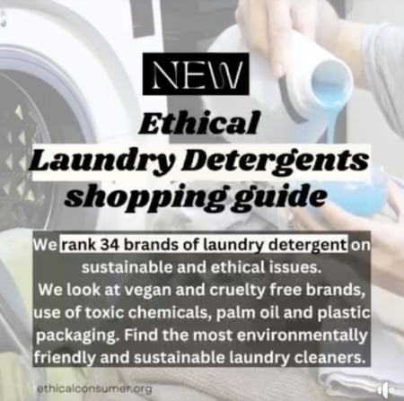 Ethical laundry detergents infographic. Info is in the article