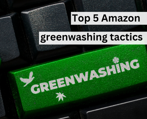 Computer keyboard with word 'greenwashing' and title Top 5 Amazon greenwashing tactics