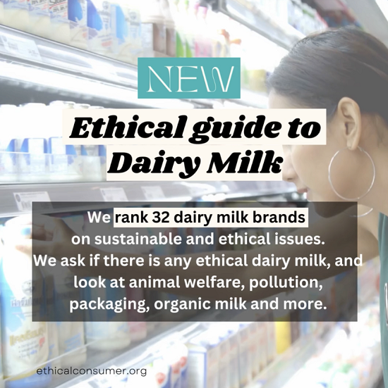 Image of person looking at cartons of milk in shop, with text overtop. Text is in the page.