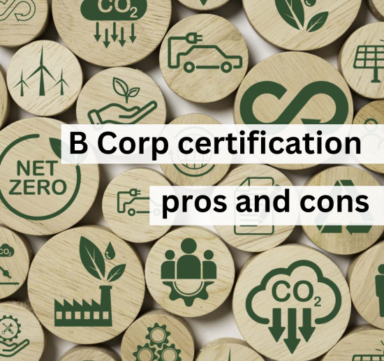Image of wooden discs with green eco symbols on, with wording as per title